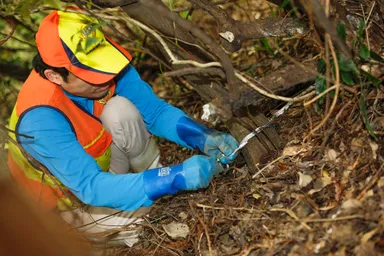 ジビエのしごとー解体見学 or 罠設置体験ー