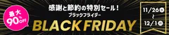 BLACK FRIDAY 2025