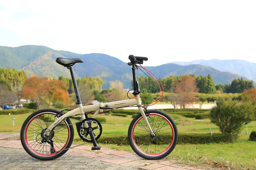 TRANS MOBILY NEXT206_newcolor2