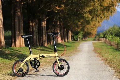 TRANS MOBILY NEXT163-S_newcolor1