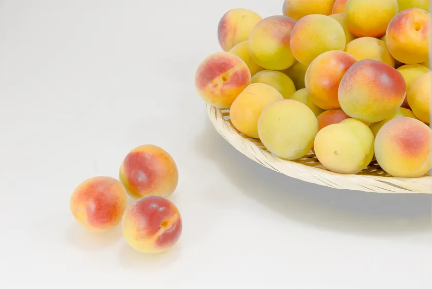 完熟紀州南高梅