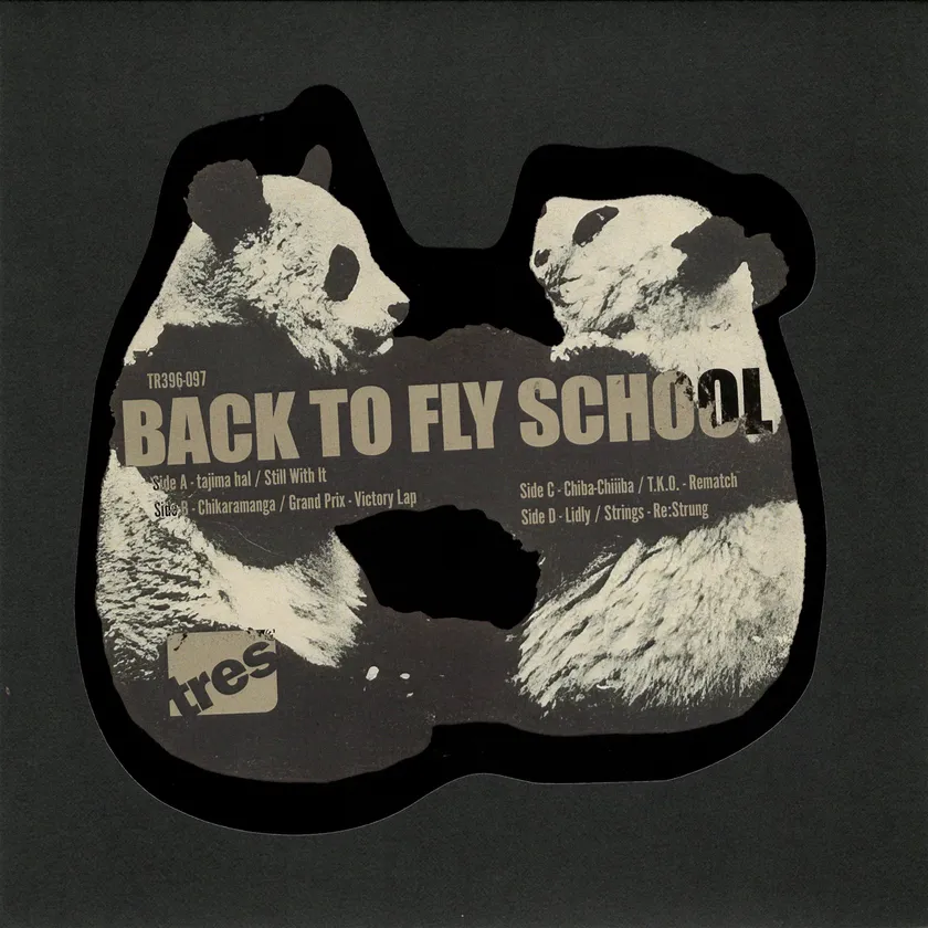 Back to Fly School ジャケット