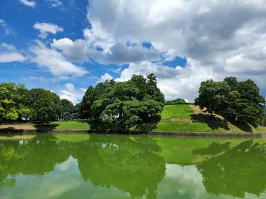 卑弥呼に連なる豪族!？・黒塚古墳