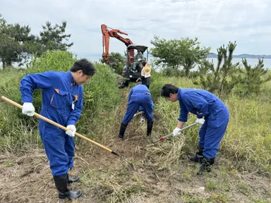 植生回復活動の様子