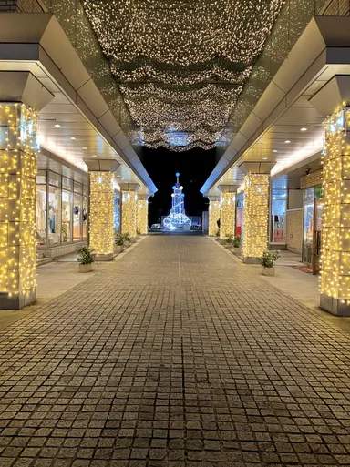 アドレスモール