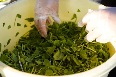 たるいっぱいのせり