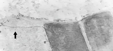 <ドローンを活用して発見した獣道　＊矢印が獣道>