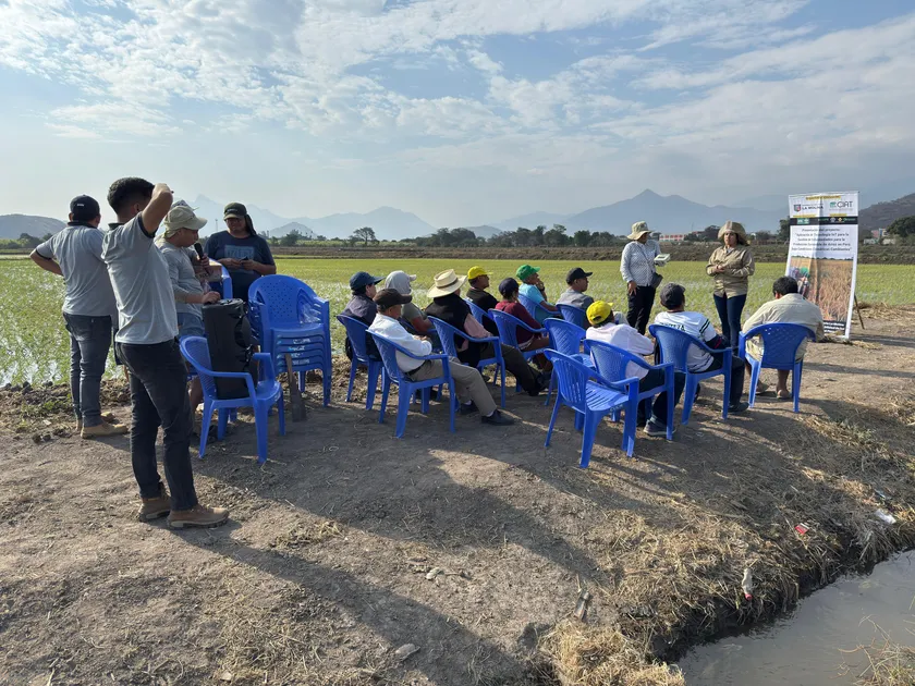 人材育成の取り組み:CIAT提供