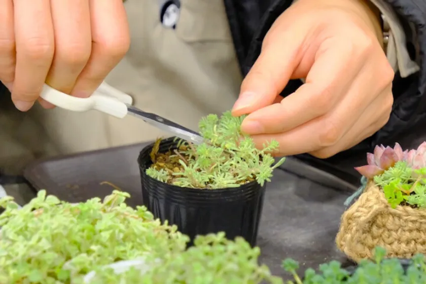 過去開催時の様子3