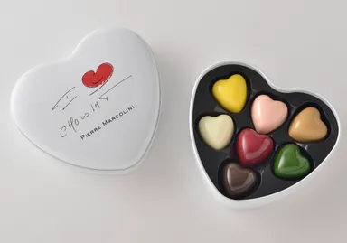 ピエール マルコリーニ