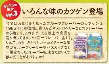 パッケージ側面表示「カツゲンの歴史」
