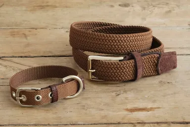 ベルトイメージ