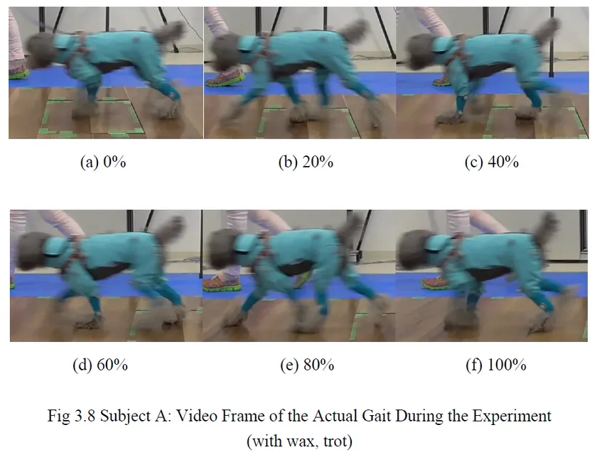 実験中の歩行(ビデオフレーム)