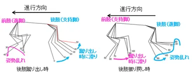 スティックピクチャー(未塗布の床を歩いた際の歩行姿勢の変化)