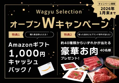 (4)キャンペーン