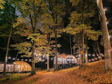 写真(2)：施設全景(夜)