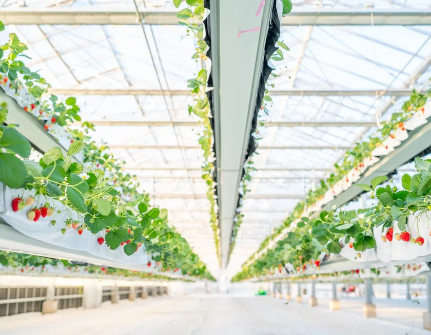 【the BERRY YOKOHAMA】2025-2026年シーズングランドOPEN