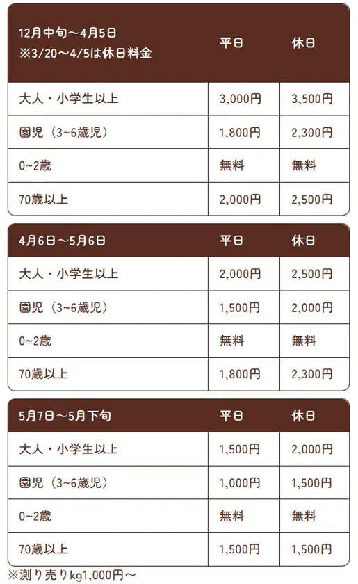 【the BERRY YOKOHAMA】2025-2026年シーズンいちご狩り料金表