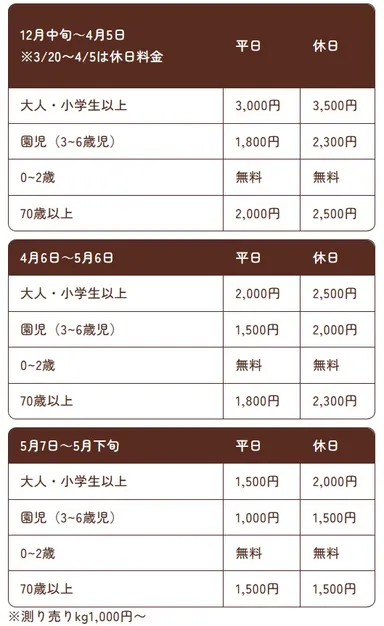 【the BERRY YOKOHAMA】2025-2026年シーズンいちご狩り料金表