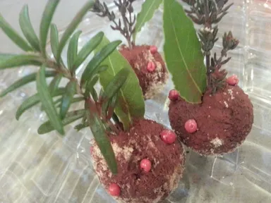 ソイミルクチョコレートのトリュフ