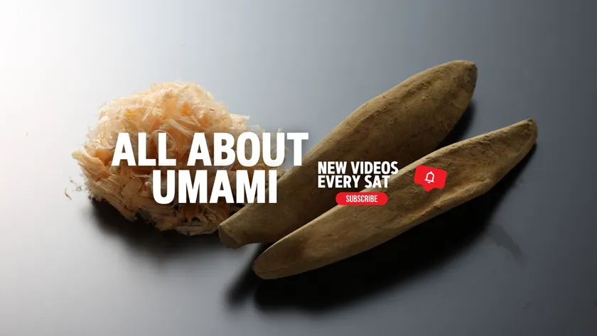 All About Umami チャンネルイメージ