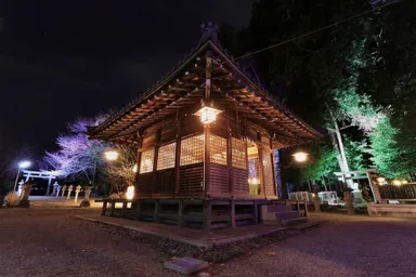 拝殿ライトアップ