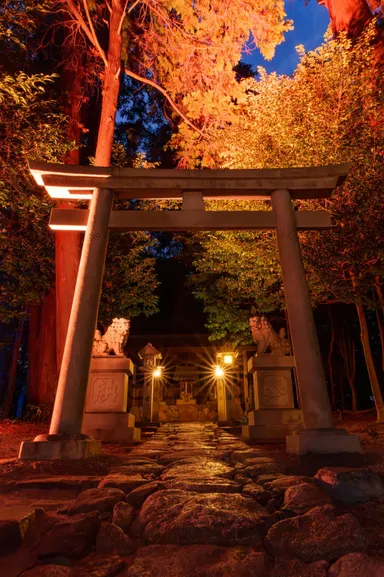 境内ライトアップ