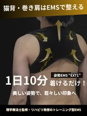 姿勢EMS“EXT1”