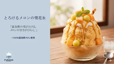 商品イメージ(FURANOSNOWBLOSSOM)