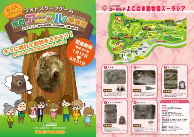 イベントチラシ