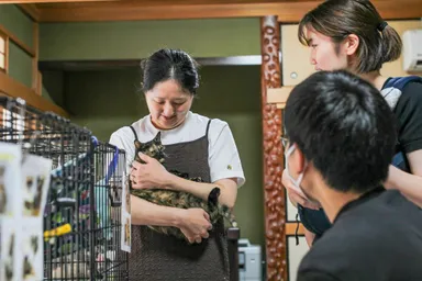 しっぽのしらべの活動の様子