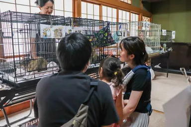 しっぽのしらべの活動の様子