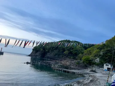 鎧地区の海を泳ぐこいのぼり(ゴールデンウイーク)