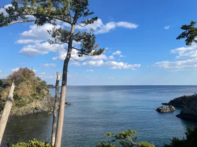 トレッキングコースからの風景