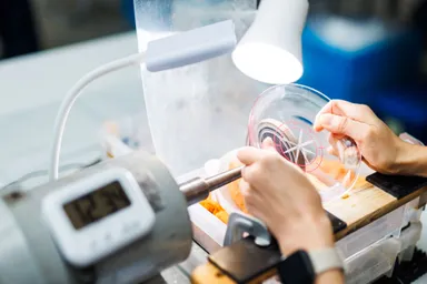 ワークショップ2