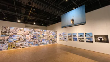 過去の展示風景(宝塚市立文化芸術センター)