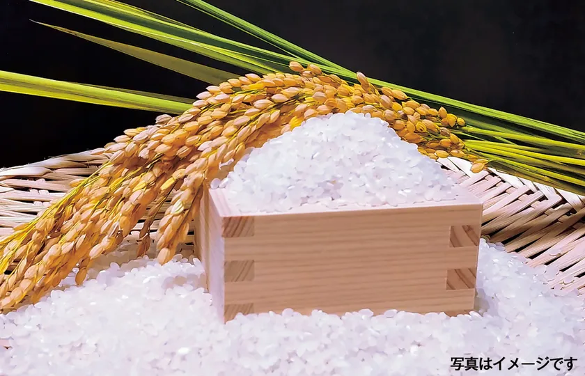 「新米すくい放題」500円(税込)