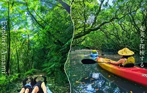 奄美大島での冒険ツアー ＋「AMAMI CRAFTASTE」夕暮れたんかん 価格：11,000円(税込)