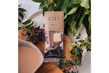 暮らしゾーン(スパイスせんせい)