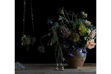 花と緑ゾーン(はいいろオオカミ＋花屋 西別府商店)