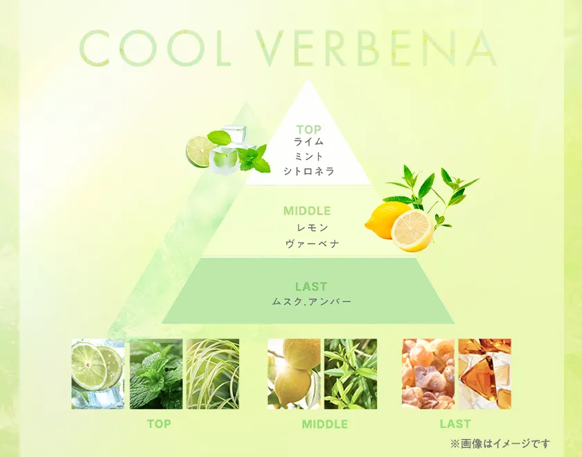 クールヴァーベナの香り