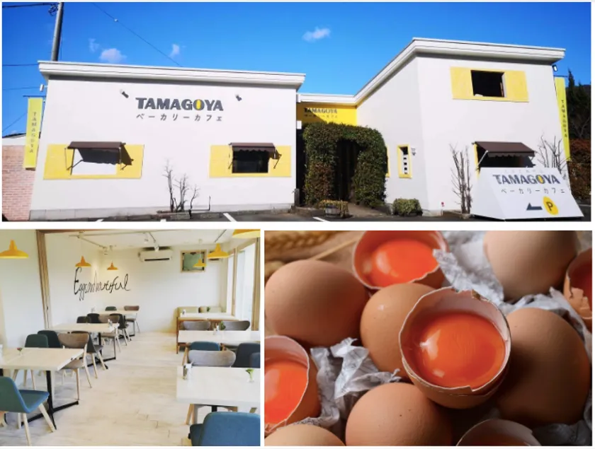 TAMAGOYAベーカリーカフェについて