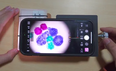 ボルボックスの標本を観察している様子