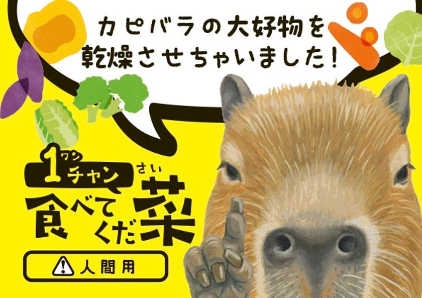 カピバラの大好物の野菜をそのまま乾燥　
赤ちゃん誕生で話題の竹島水族館に“人も食べられる”新土産が登場