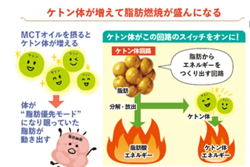 MCTオイル効果 一例(1)