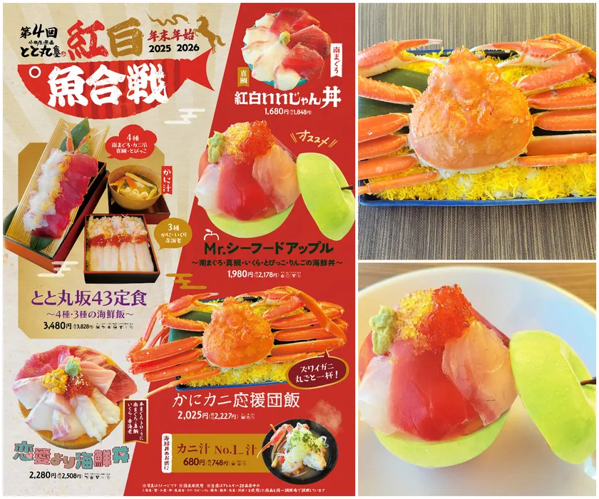 漁港の駅TOTOCO小田原にて第4回 紅白魚合戦を開催