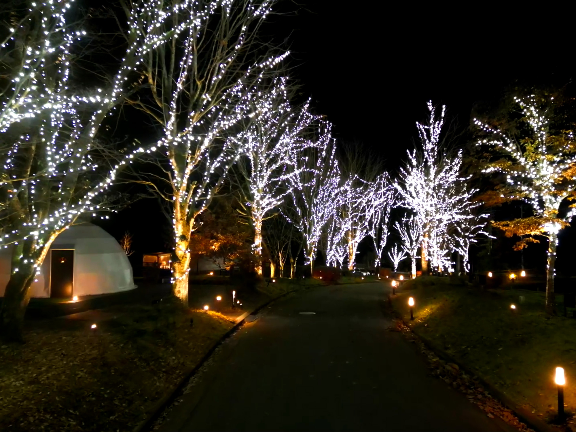 冬のグランピング体験 イメージ