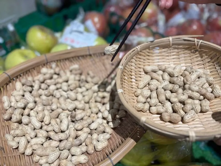 元旦から“落花生”に全集中!