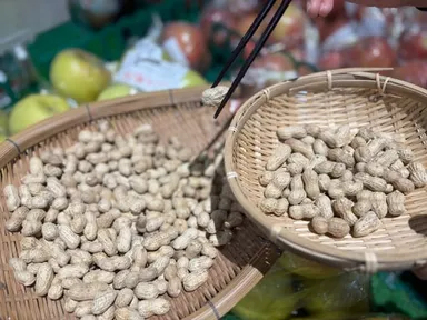 元旦から“落花生”に全集中！