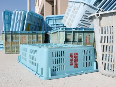 漁業の現場で使われてきたプラスチックカゴが、循環型ものづくりの起点となる。